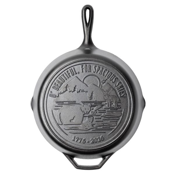 Lodge 12 Inch Seasoned Cast Iron Skillet. Spacious Skies