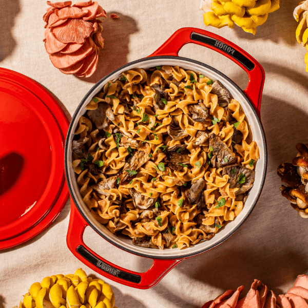 USA Enamel Cast Iron Dutch Oven