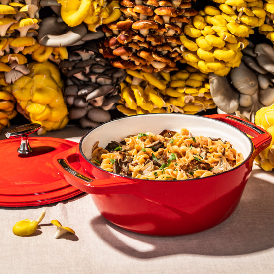 USA Enamel Cast Iron Dutch Oven